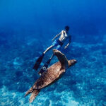 image1 2 自由潛水, 瑜珈, 自由潛水瑜珈, 自由潛水冥想, 水下放鬆, 躬身下潛, 潛水練習, 潛水