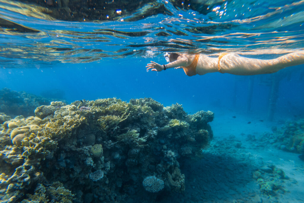 image5 自由潛水, 瑜珈, 自由潛水瑜珈, 自由潛水冥想, 水下放鬆, 躬身下潛, 潛水練習, 潛水