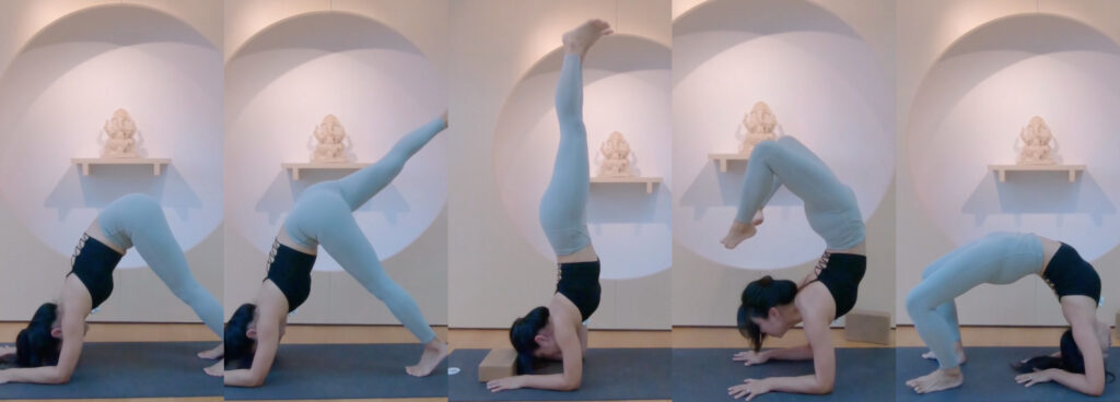 FotoJet 2024 05 31T172440.731 蠍子式,Scorpion Pose,Vrschikasana,瑜珈蠍子式,瑜珈高難度體式