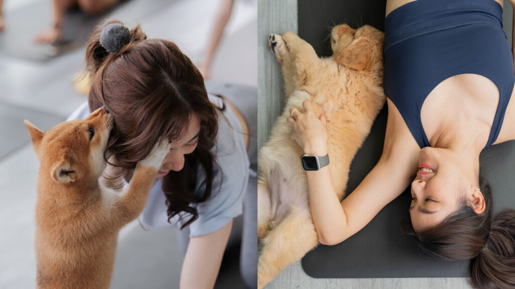 FotoJet 2024 08 16T174545.180 山羊瑜珈,小狗瑜珈,貓咪瑜珈,兔子瑜珈,Puppy Yoga,Cat Yoga,Goat Yoga,Bunny Yoga