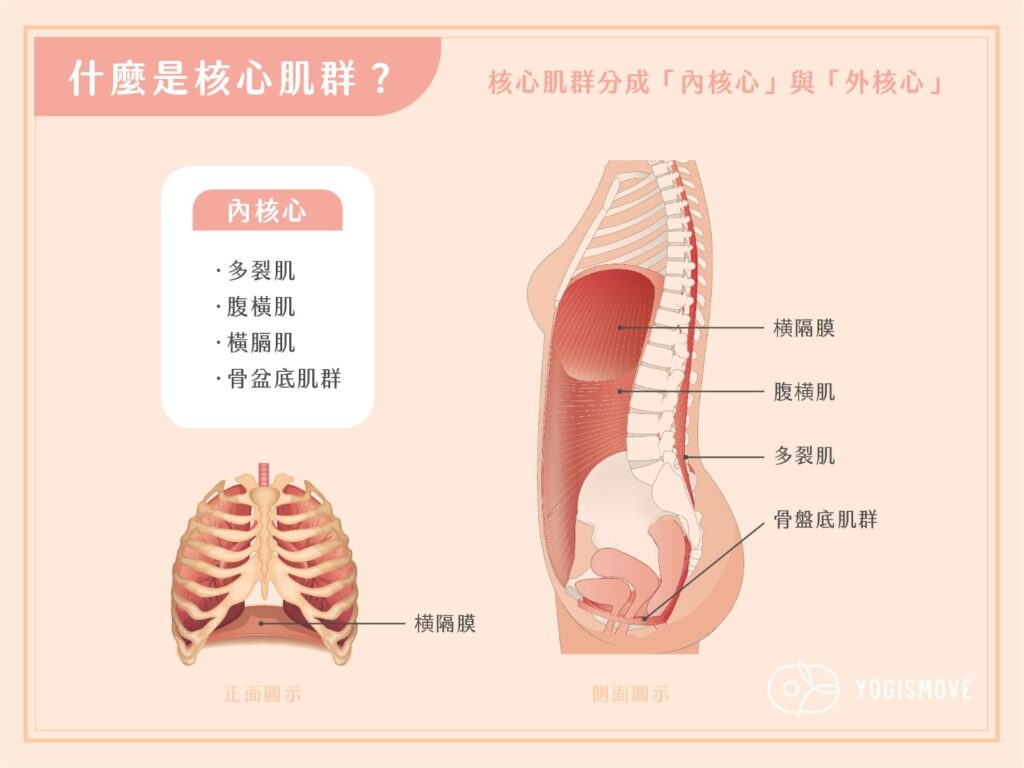 WhatsApp Image 2022 10 11 at 12.26.24 PM 2 1024x768 1 橫膈膜,瑜珈呼吸,橫隔膜功能,腹式呼吸