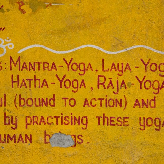 featured 1773234744376 瑜珈事業, 瑜珈經營, 商業 瑜珈, 商業經營 瑜珈, 瑜珈老師經營, 瑜珈老師商業, 商業經營, 商業瑜珈, 瑜珈本質, 瑜珈商業化經營, 商業合作, 瑜珈教學, 瑜珈事業經營