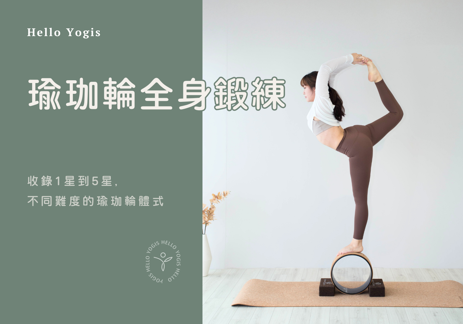 瑜珈輪一星到五星